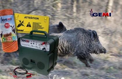 How to Keep Wild Boars Away: Effective Solutions and Why Electric Fencing Makes a Difference