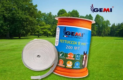 Electric String: Everything You Need to Know
