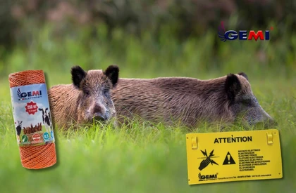 Wild boar deterrents: safe and effective with Gemi Elettronica