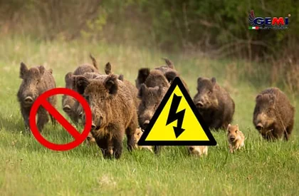 Electric Deterrents for Animals: How to protect your garden.