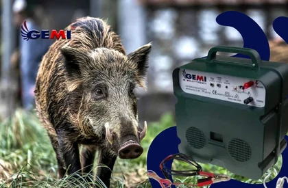 Wild boar deterrents: protect your land with Gemi electric fences