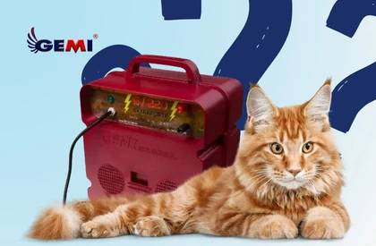 Cat deterrents: how to effectively protect gardens, orchards, and property