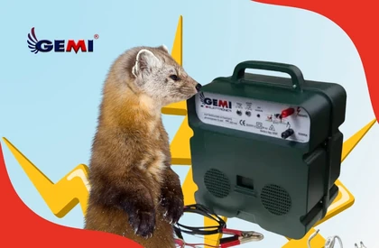 Martens: How to Keep Them Away Effectively and Safely
