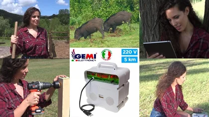 Electric fence for animals: how to build it in a fast, safe and efficient way
