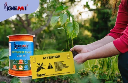 Fenced Garden: How to Protect Your Crops with Electric Fencing