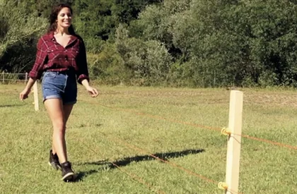 Electric Fence Posts: Which ones to choose?