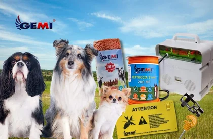 Dog Fence Guide and Review: Gemi E/220 Electric Fence Energizer