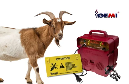 Goat fencing: the safe and effective solution is the Gemi electric fence