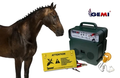 Wooden Horse Fencing: Why Electric Fencing Is a Safer Choice