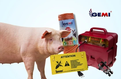 Pig Fencing: How to Design a Safe and Effective System