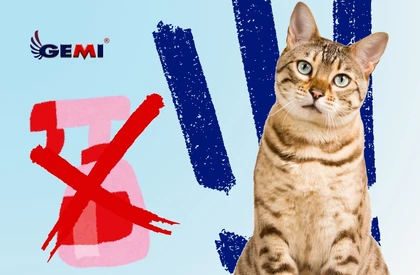 Cat Repellents: Why Electric Fences Are an Effective and Safe Solution
