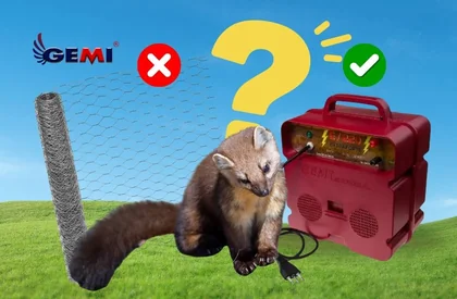 Anti-marten netting: does it really work? The most effective solution for protecting chicken coops and livestock.