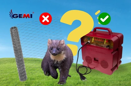 Anti-marten netting: does it really work? The most effective solution for protecting chicken coops and livestock.