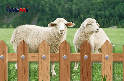 Sheep Netting: Is It Really the Best Solution?